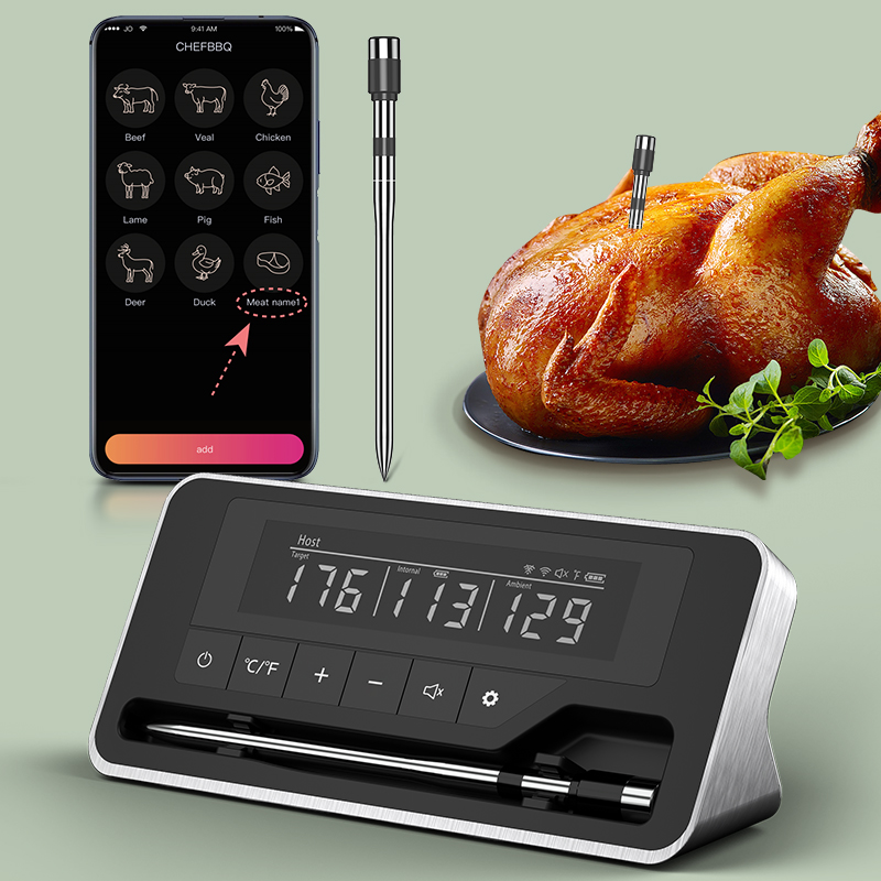 Meat Thermometer Wireless Prob - Digital Thermometer Probe review and price