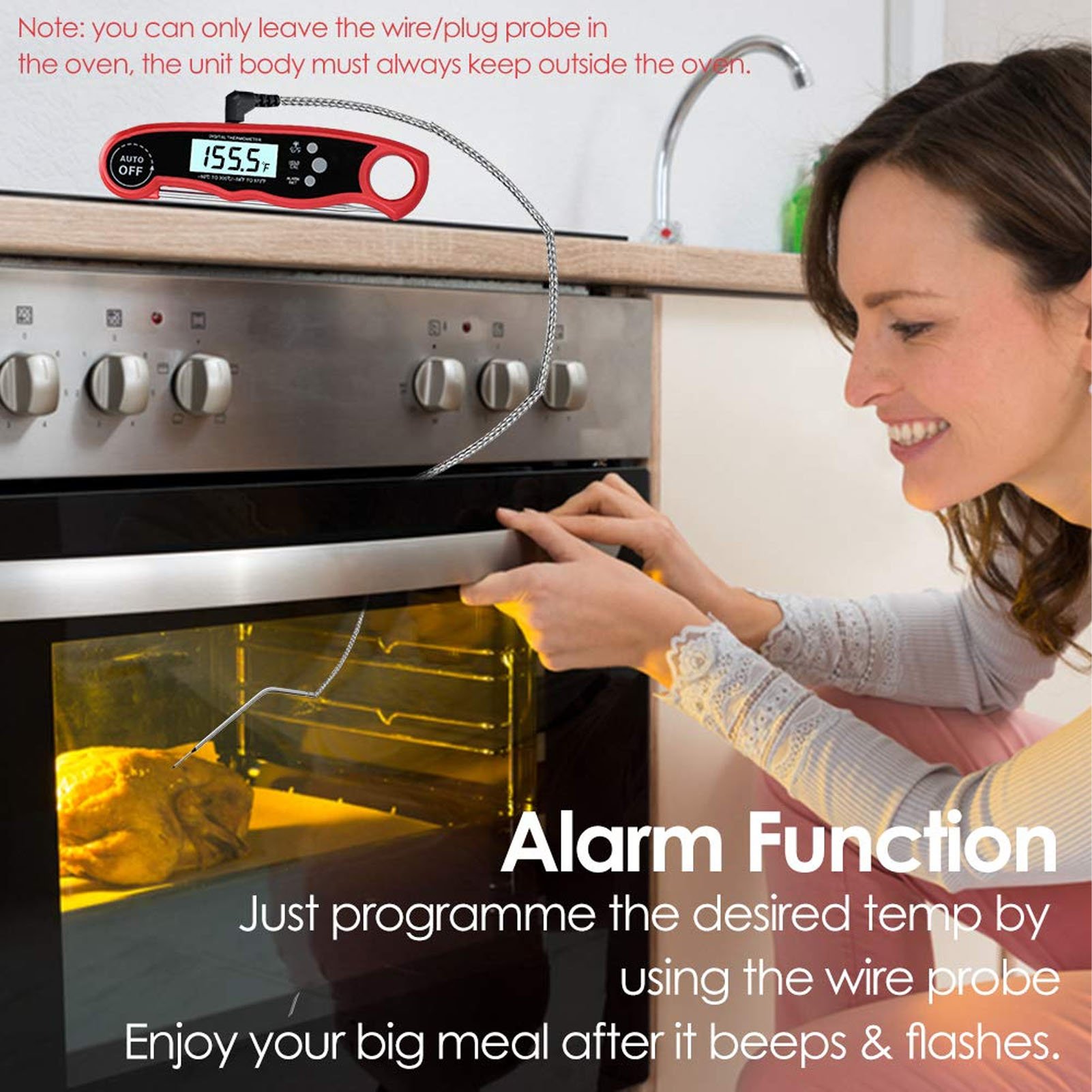 Meat Thermometer Digital 2 Pro - Digital Thermometer Probe review and price