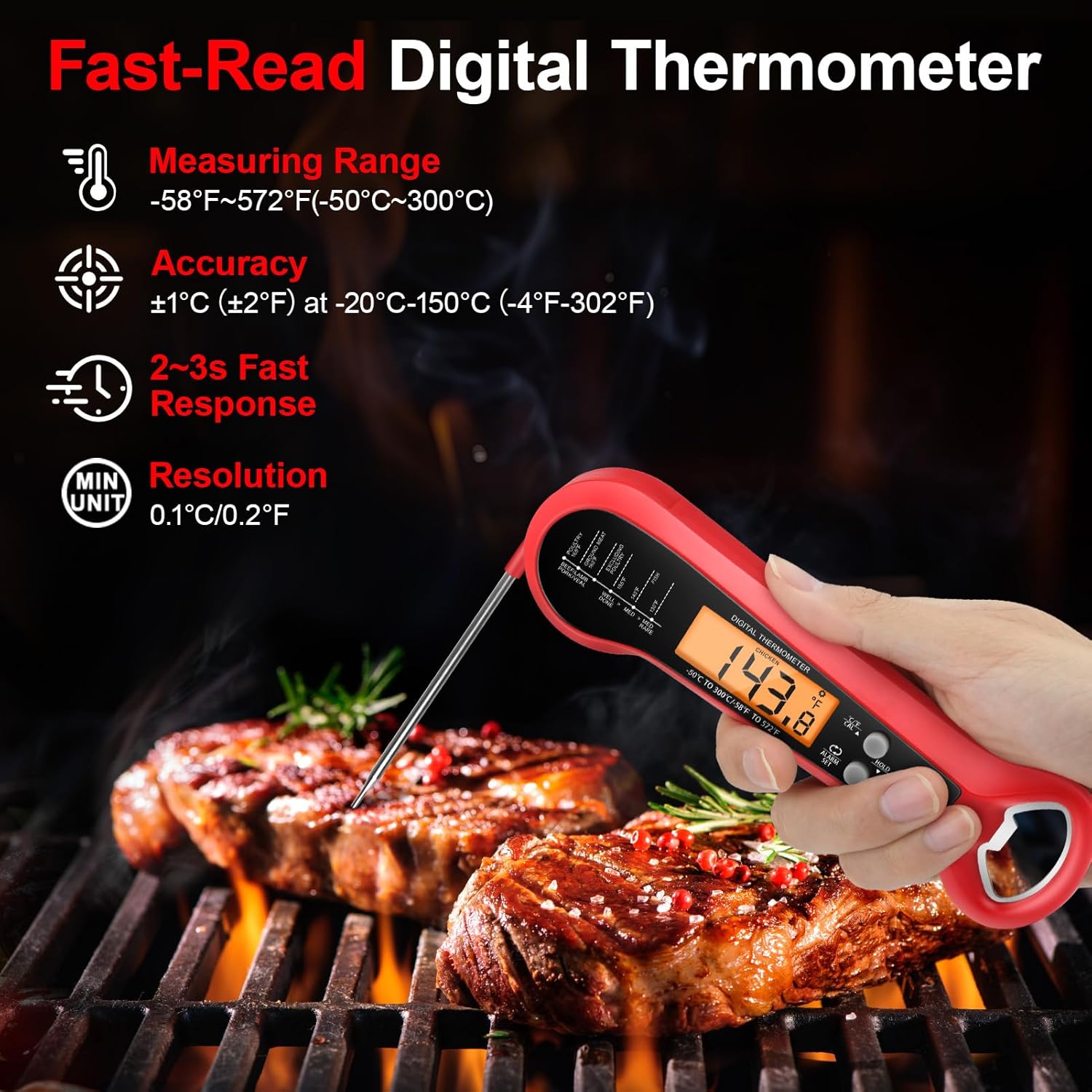 Professional Digital Meat Ther - Digital Thermometer Probe review and price